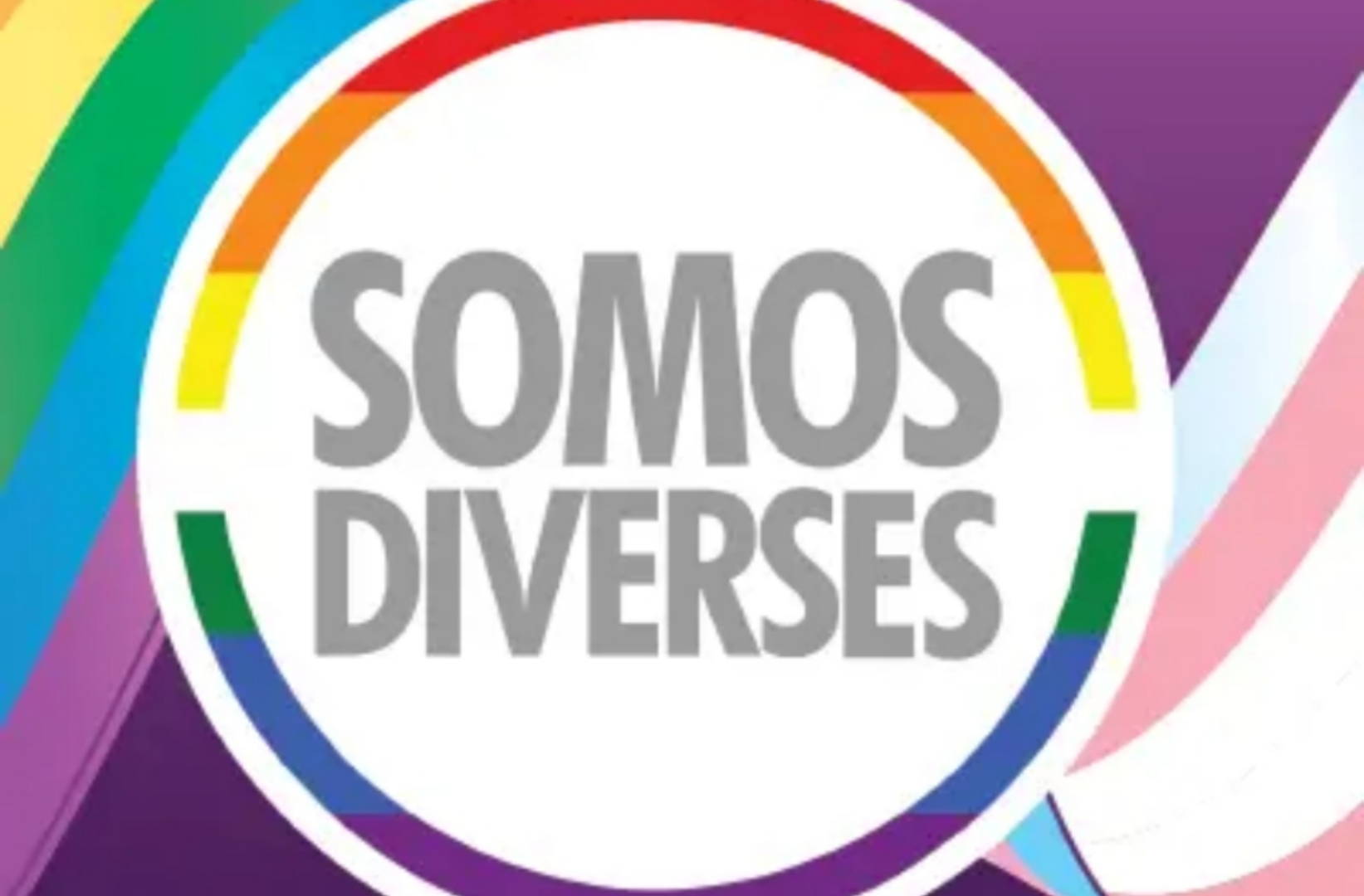 En la imagen se ve el logo de la organización "Somos Diverses," un círculo blanco rodeado de un círculo más pequeño en su interior, con los colores del arcoíris, y las palabras "Somos Diverses" escritas en color gris en el centro del círculo. Detrás, se ve un fondo púrpura, y a ambos lados del logo se ven la bandera del Orgullo trans y la del Orgullo LGTB+